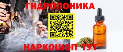 шишки Ливны