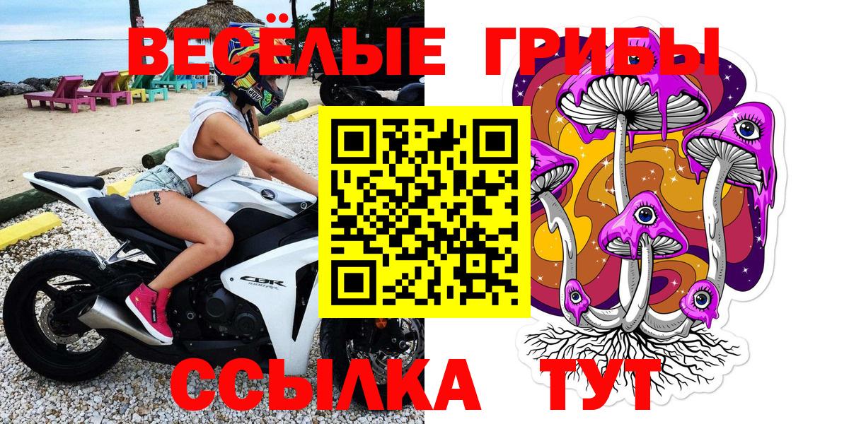 Галлюциногенные грибы Psilocybine cubensis  Галлюциногенные грибы Psilocybine cubensis  Кубинка  Вход с VPN 