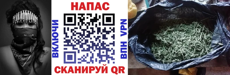 где продают   Кубинка  Каннабис сатива 